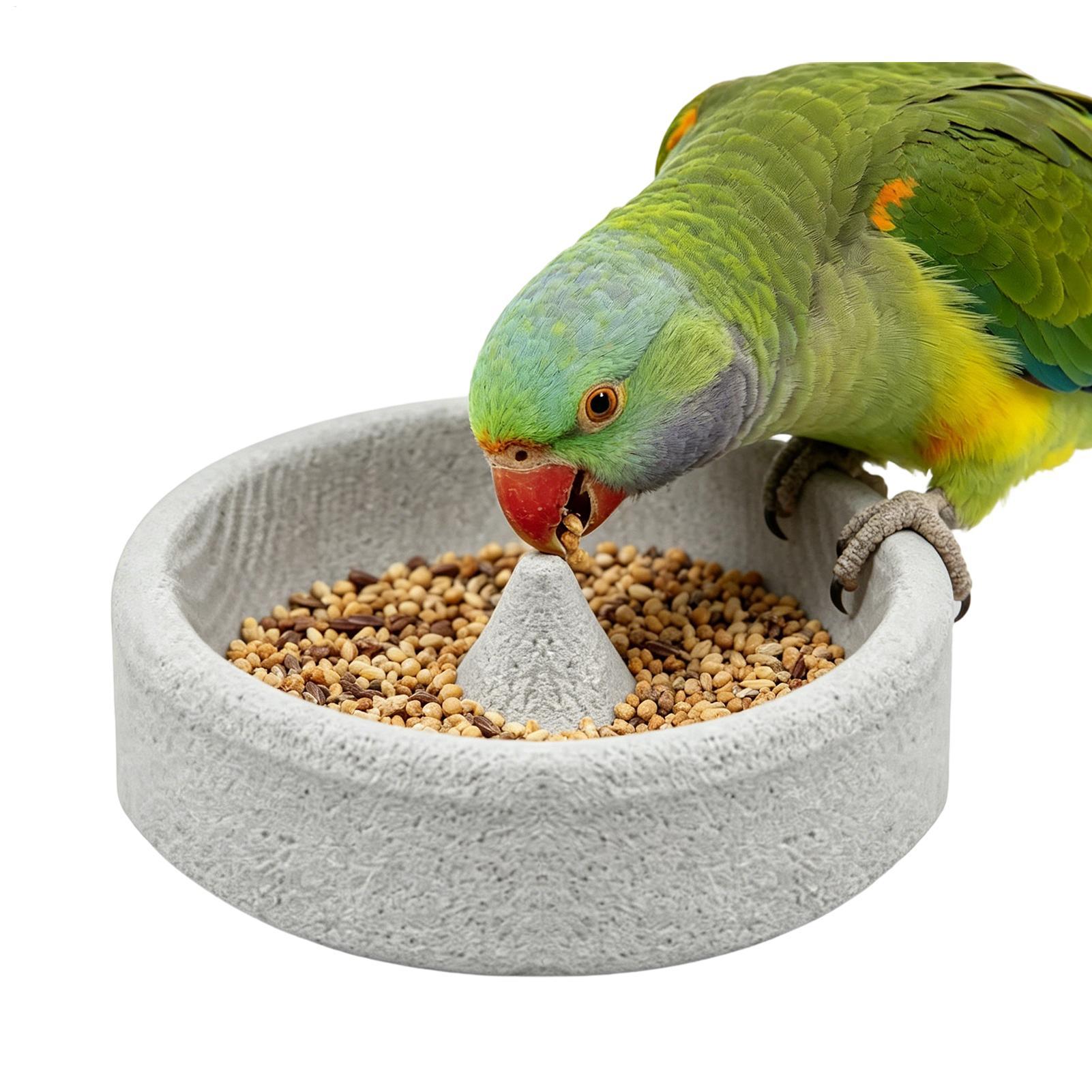 Mangiatoie per uccelli in piet - Stones Watches & Jewelry In Sweden Ab recensione e prezzo